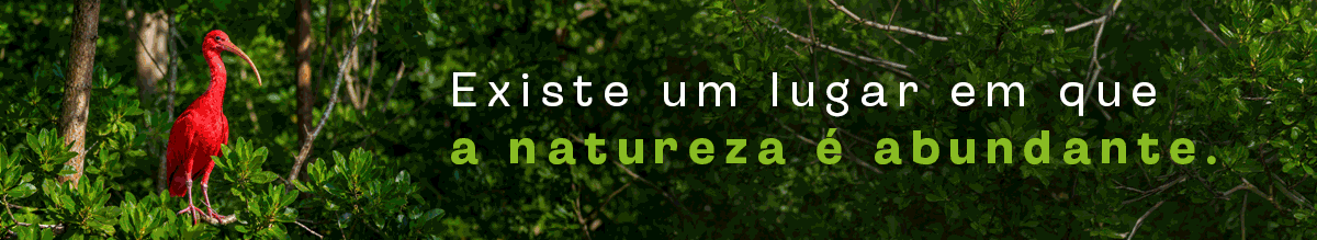 publicidade