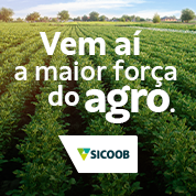 publicidade