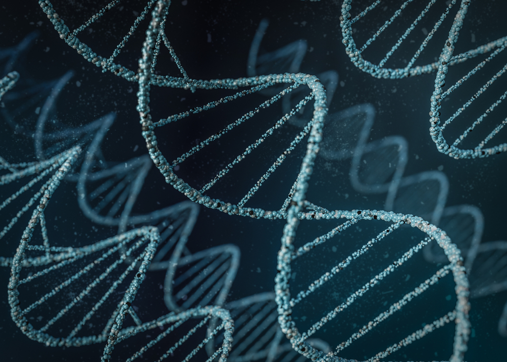 Brasil lidera em registro de perfis de DNA e restos mortais