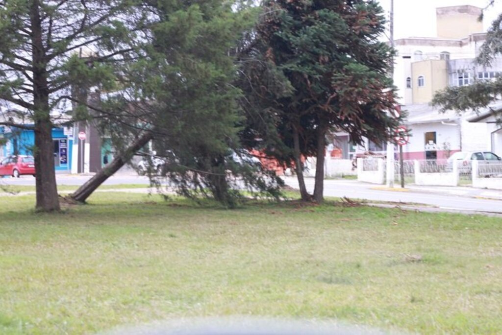 Vendaval causou estragos em Correia Pinto