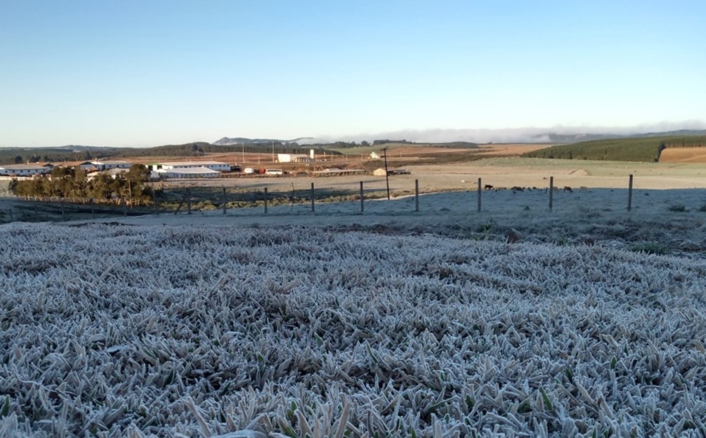 A neve não veio, a geada sim