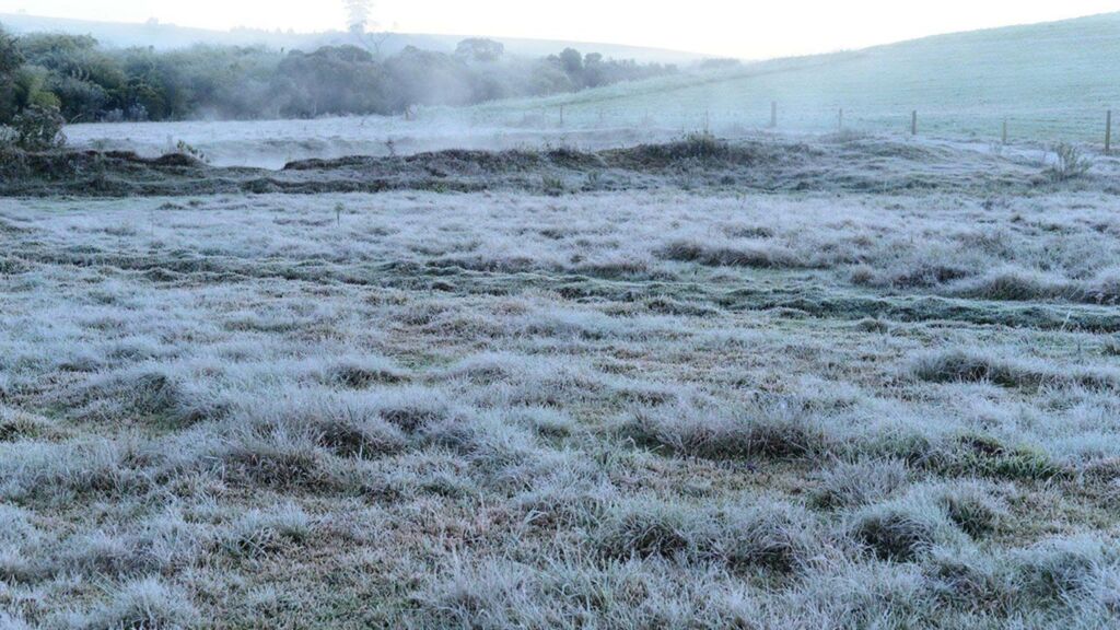 -1ºC e geada em Correia Pinto