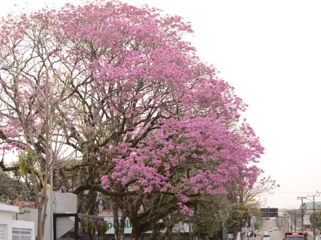 Céu anuviado