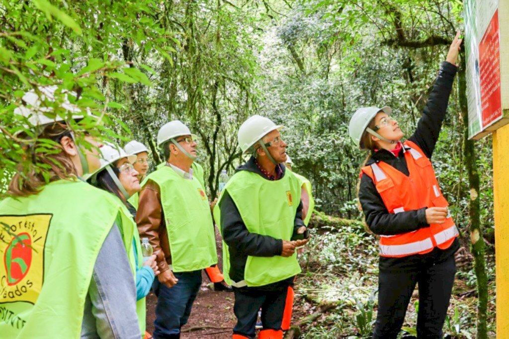 Grupo de Idosos do SCFV fazem visita a empresa Florestal Gateados