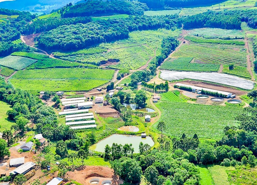 Parceria entre Prefeitura de Campo Belo do Sul e Epagri apoia o plantio de lúpulo no município