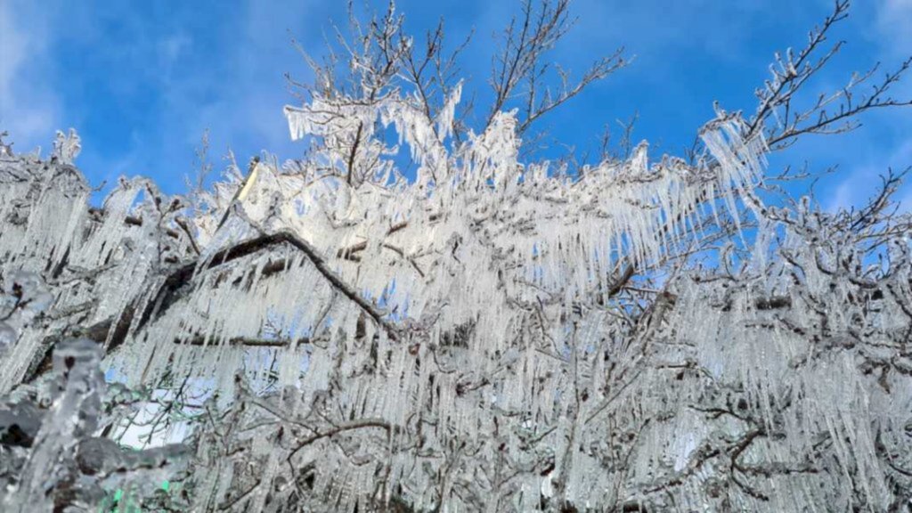 Saiba aqui o que é fato ou fake sobre a onda de frio desta semana