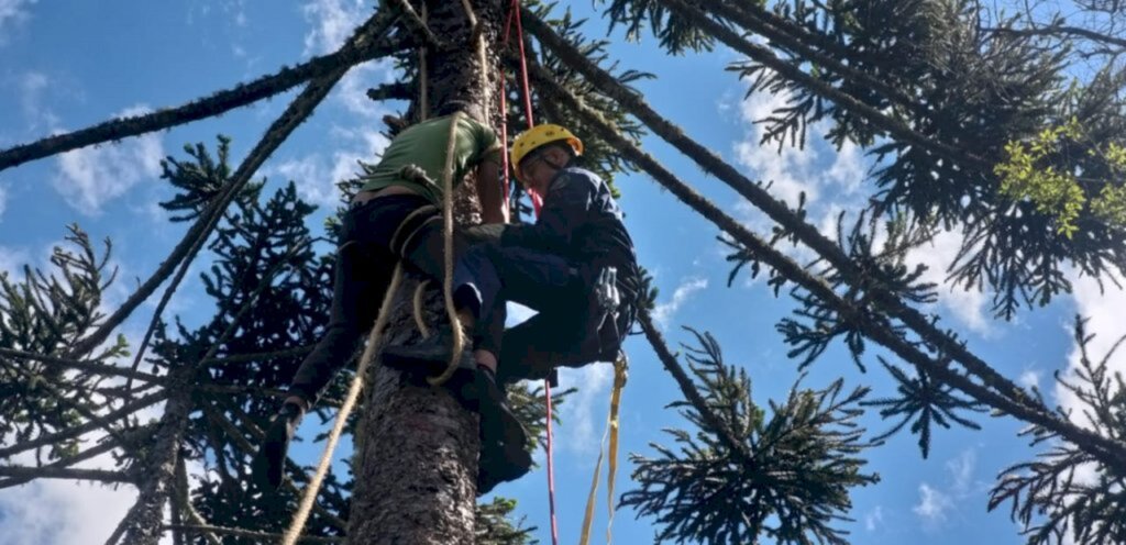 Corpo de Bombeiros - 