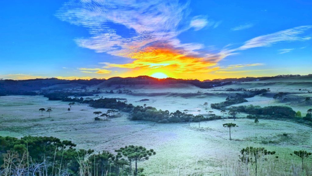 Geada volta a cobrir de branco os campos de São Joaquim, em pleno verão