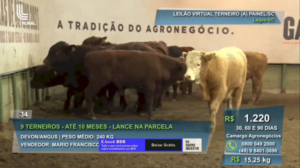 Feira do Terneiro e da Terneira de Painel fatura quase R$ 2,2 milhões