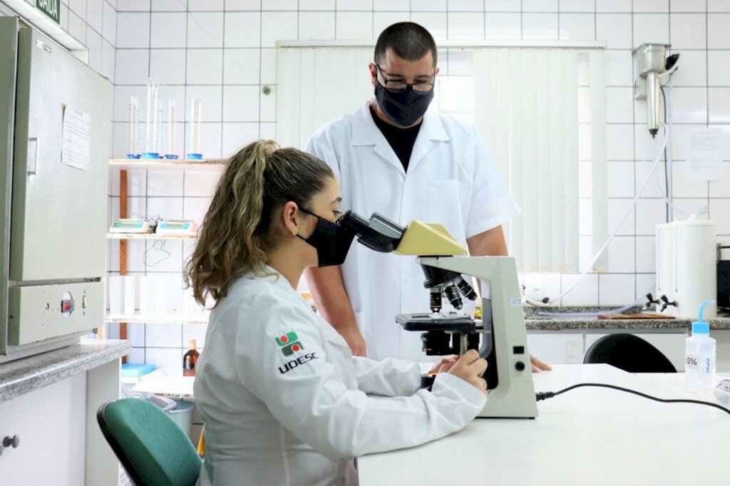 Udesc Lages realizará testes de vacina inédita no mundo contra toxoplasmose felina
