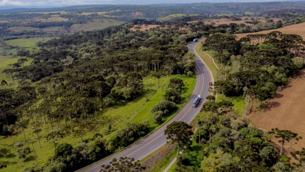 Concessionária estima fluxo até 30% maior entre Paraná e Santa Catarina neste final de ano na BR-116