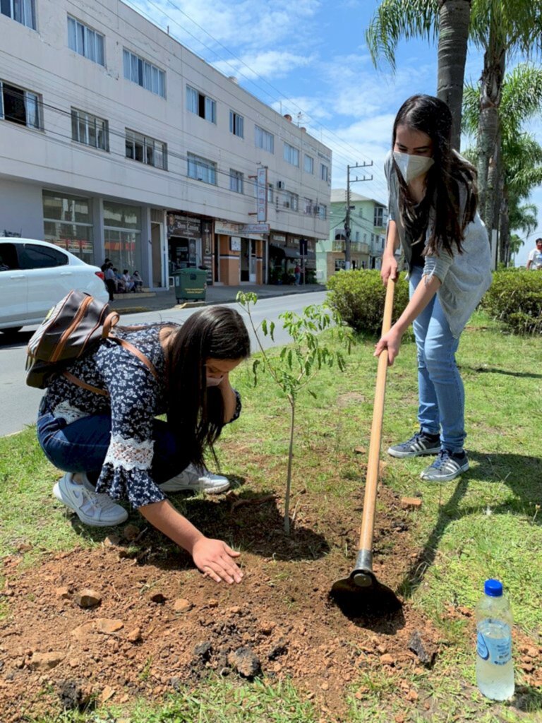 Udesc Lages faz plantio de mais de cem mudas de árvores na Avenida Luiz de Camões