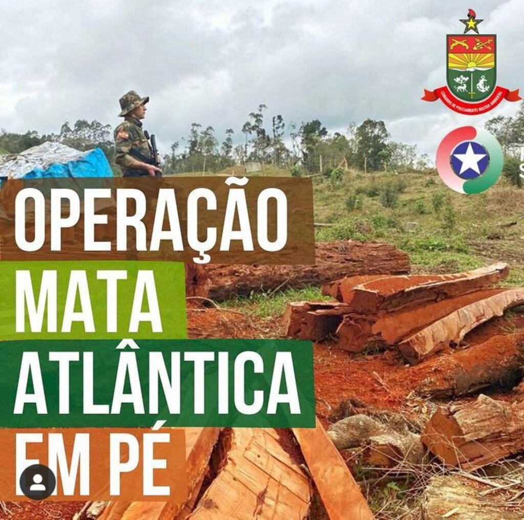 Polícia Militar Ambiental dá início à Operação Mata Atlântica em pé