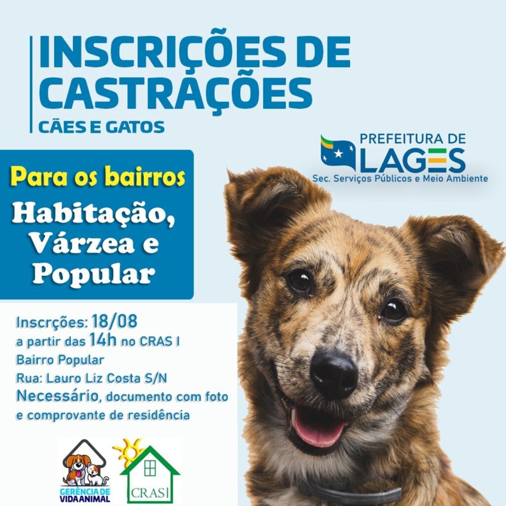 Prefeitura realizará mutirão de castrações de cães e gatos