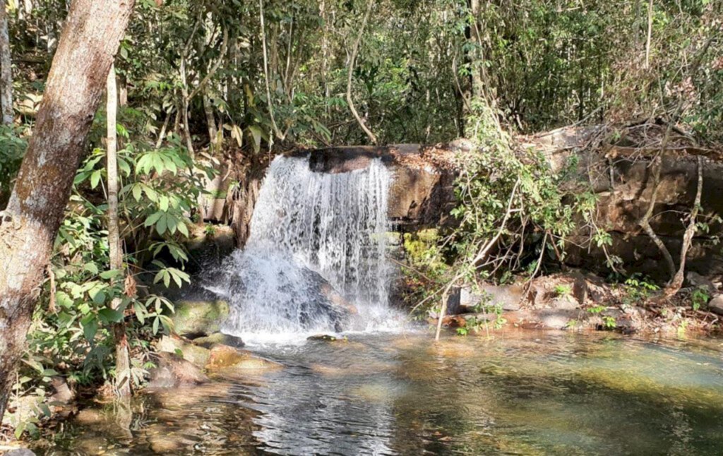 Canal Rural / Divulgação - Objetivo é preservar nascentes para manter abastecimento de lavouras