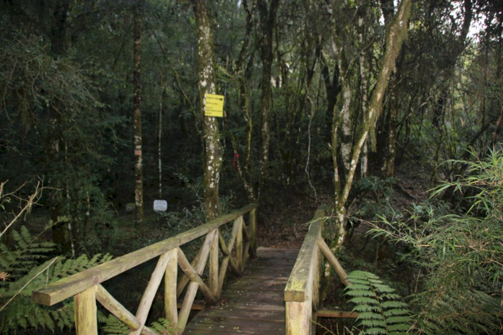 Mauro Maciel - Obras são realizadas no entorno da sede do Parque Natural