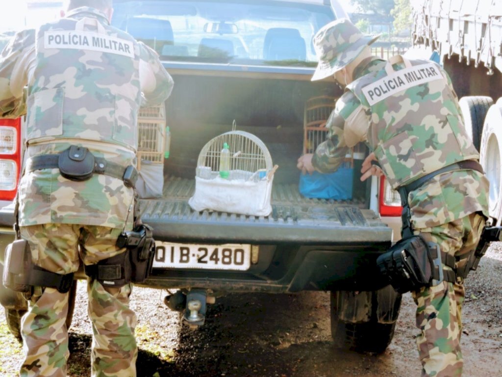 Polícia Ambiental - 