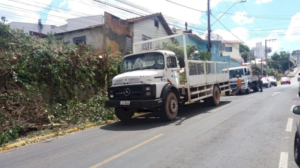 Árvore teve de ser cortada para garantir segurança no trânsito