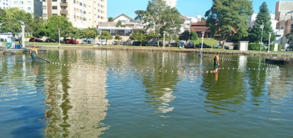 Retirada estratégica de peixes no lago do Parque Jonas Ramos