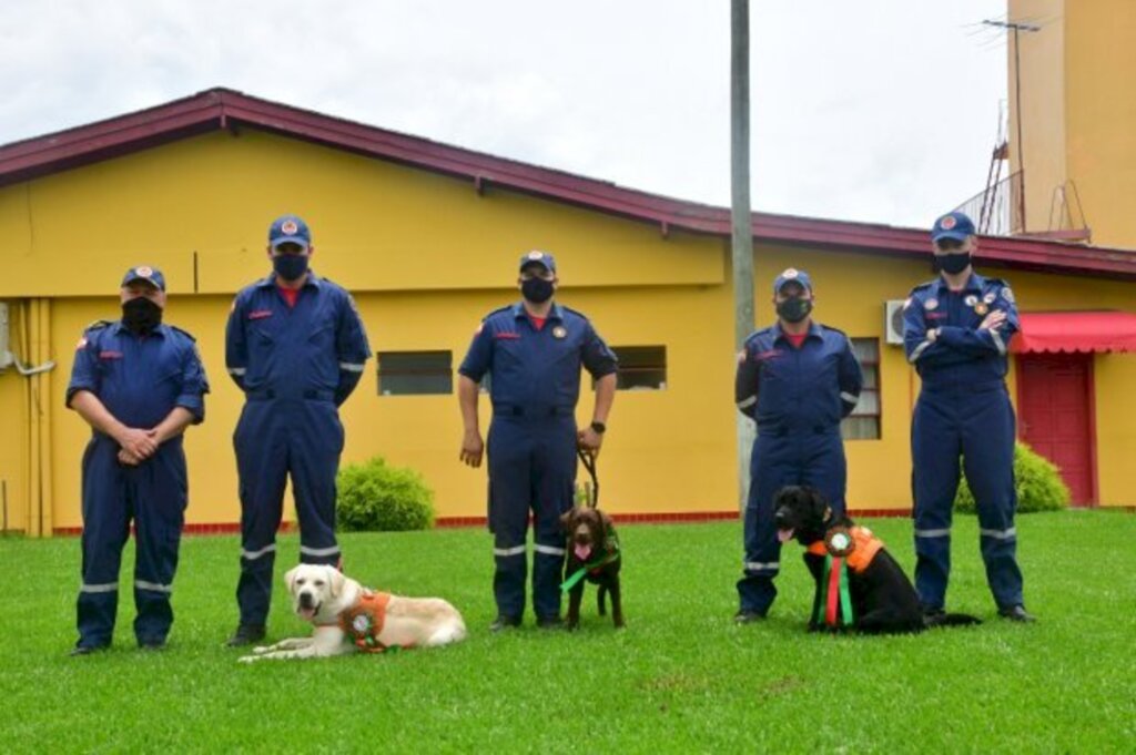 Três novos cães de busca estão ativos no Corpo de Bombeiros de Santa Catarina