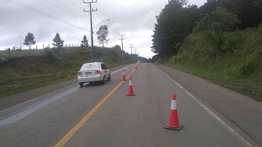 Avenida Santa Catarina está em sistema Pare/Siga para corte de árvores