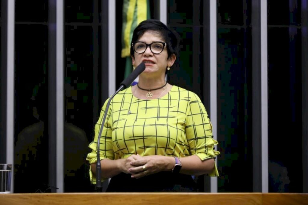 Najara Araújo / Câmara Federal - Deputada Alê Silva é a relatora do processo que pretende modernizar os testamentos