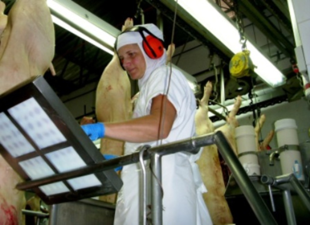Folha do Oeste - Neli trabalha no setor de abate de suínos