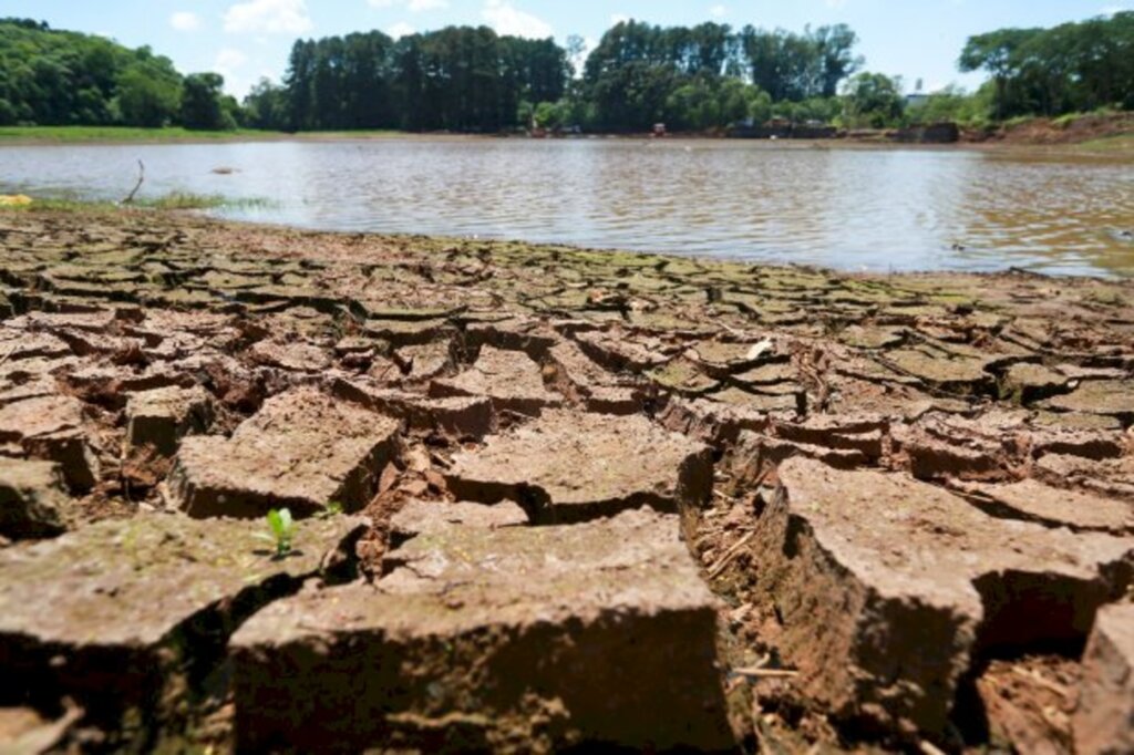 Divulgação/ Secretaria de Estado da Agricultura - 