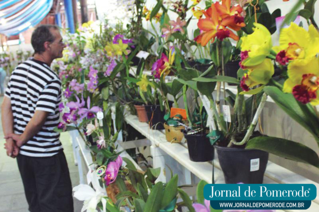 Jornal de Pomerode: Pomerode recebe encontro de orquidófilos