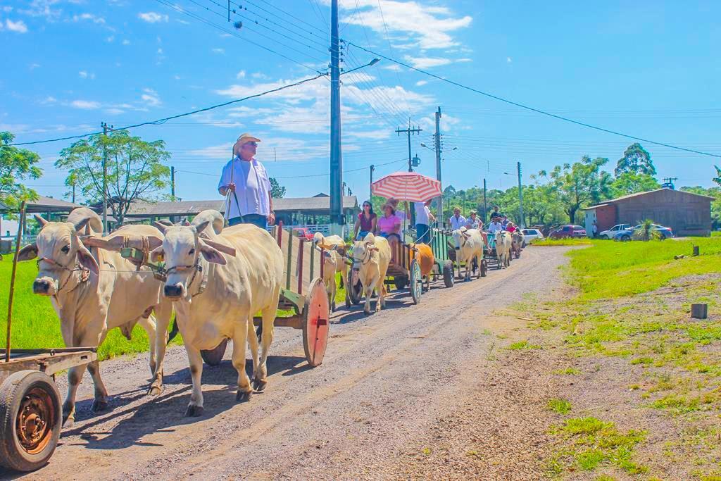 MUNICÍPIO DE SÃO JOÃO DO SUL  PROMOVE NESTE FIM DE SEMANA O 1º ENCONTRO DE CARROS DE BOI DE 2025