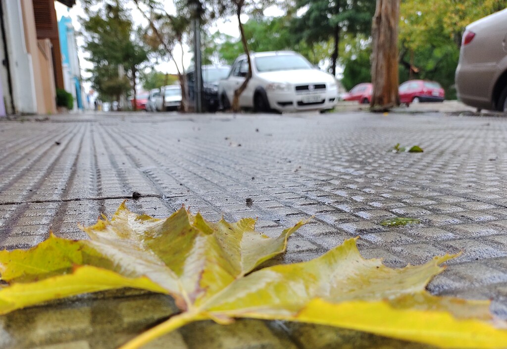 Previsão aponta dias de temperaturas amenas para a Campanha