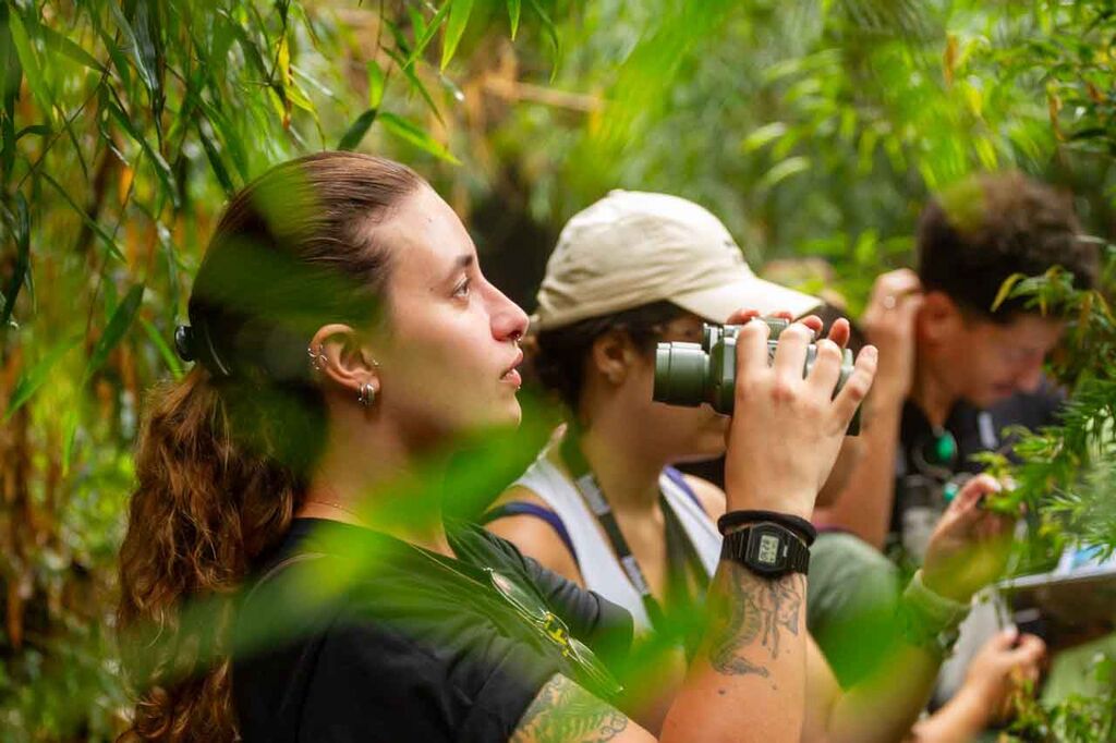 Imagem Artigo Geral Passarinhada encanta observadores de aves