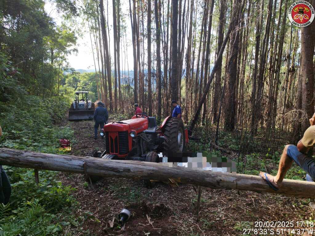 Idoso morre ao ser atingido por árvore em Ibiam