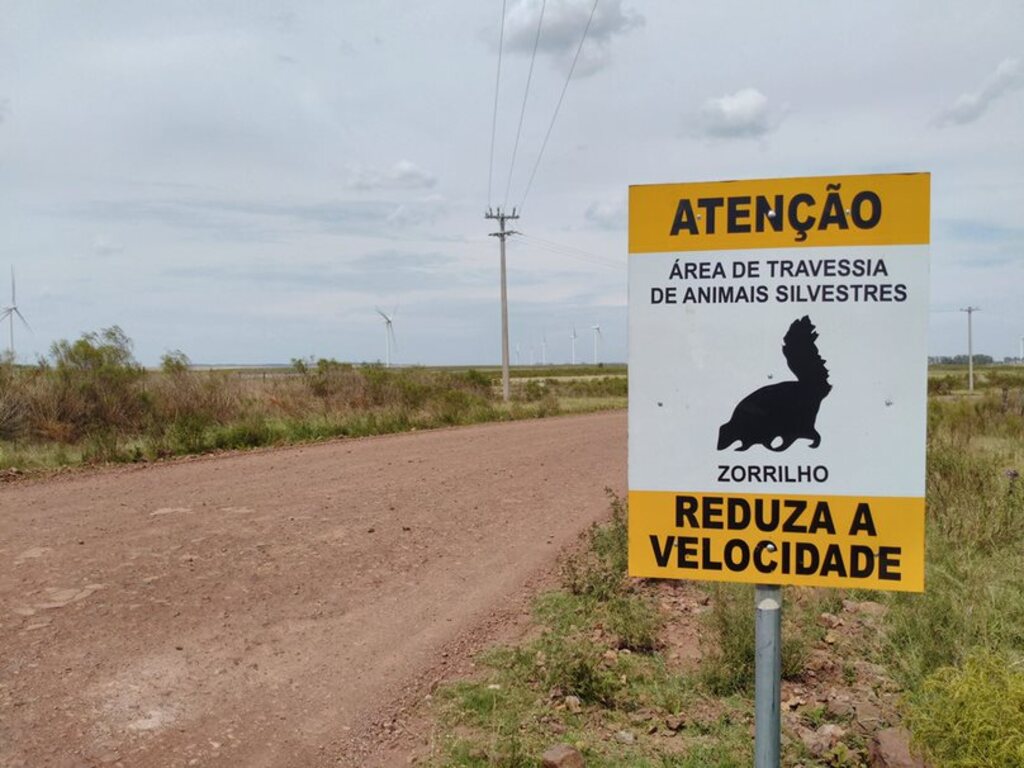 Placas alerta para presença de animais nas estradas