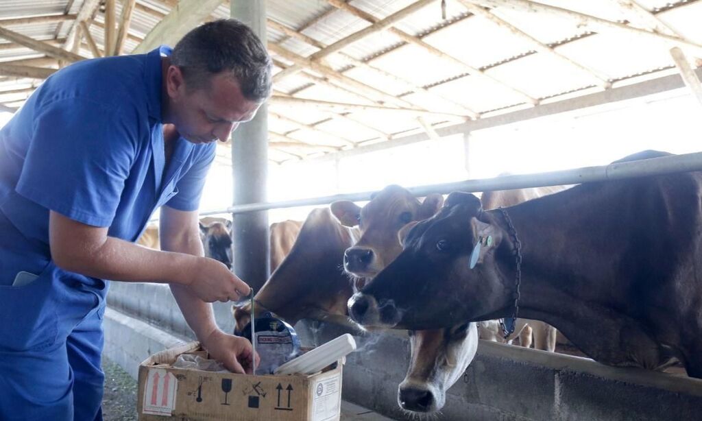 Joinville: Inscrições abertas para cursos gratuitos de qualificação e capacitação produtores rurais