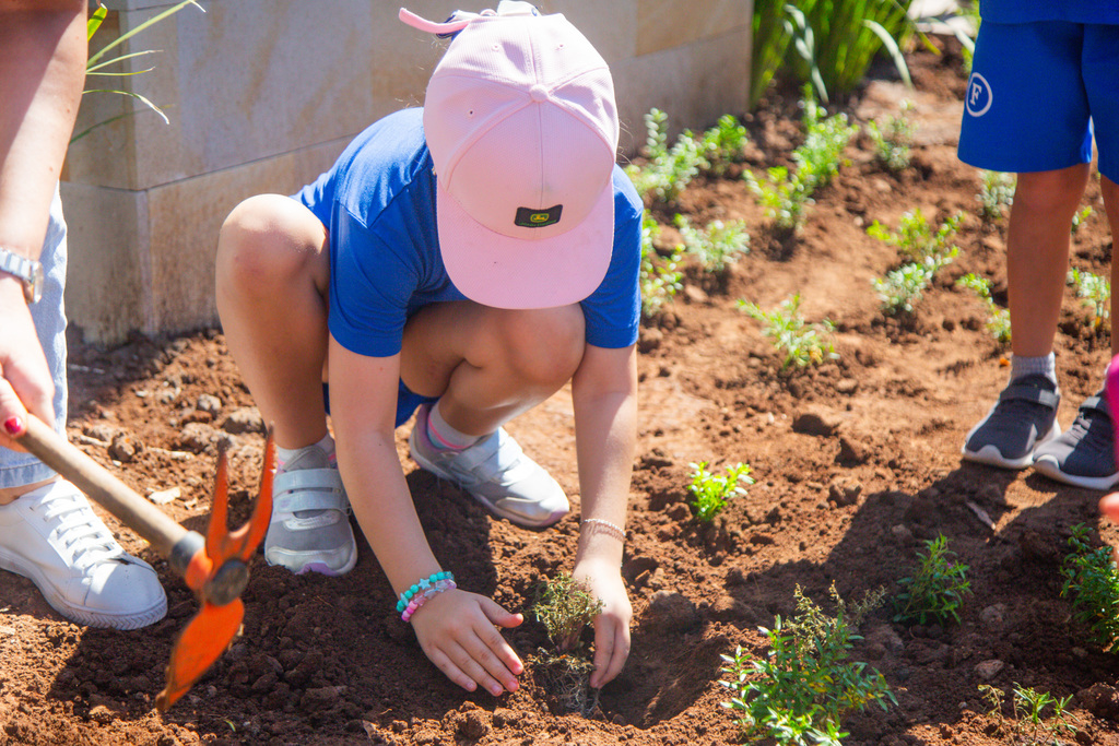 Campanha da Fraternidade tem início nesta quarta-feira e incentiva práticas sustentáveis pelo bem comum