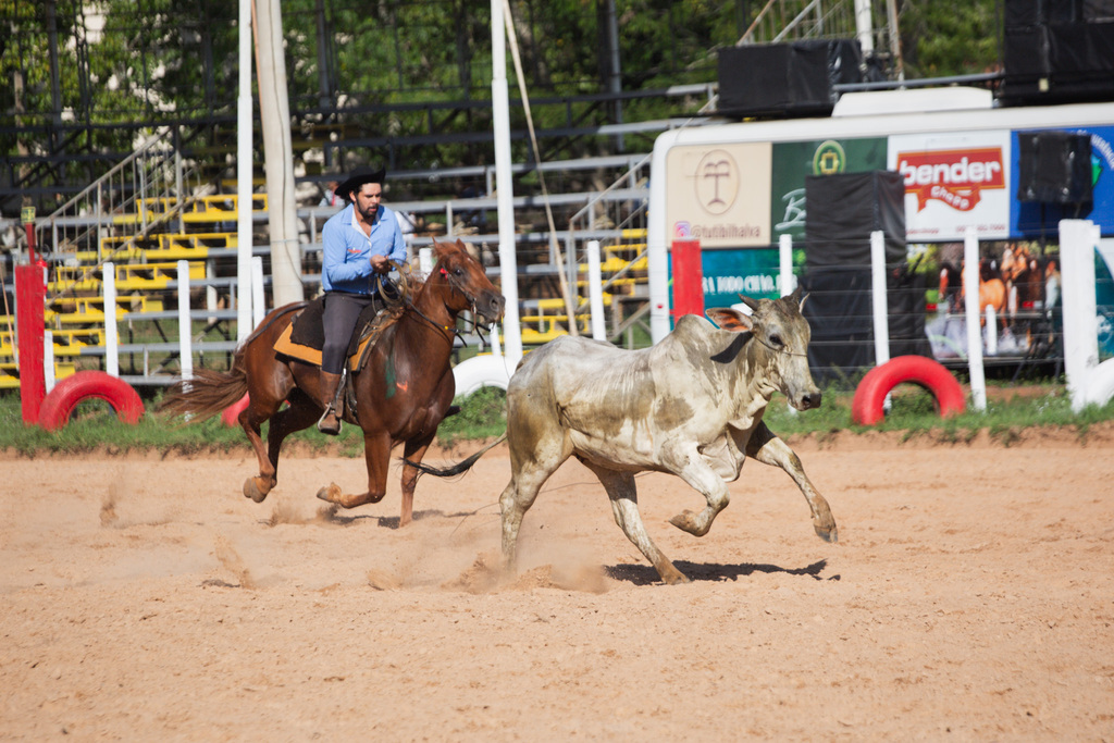 Mais de 1,1 mil competidores participam do 30º Rodeio Internacional do Conesul, que começou nesta quarta