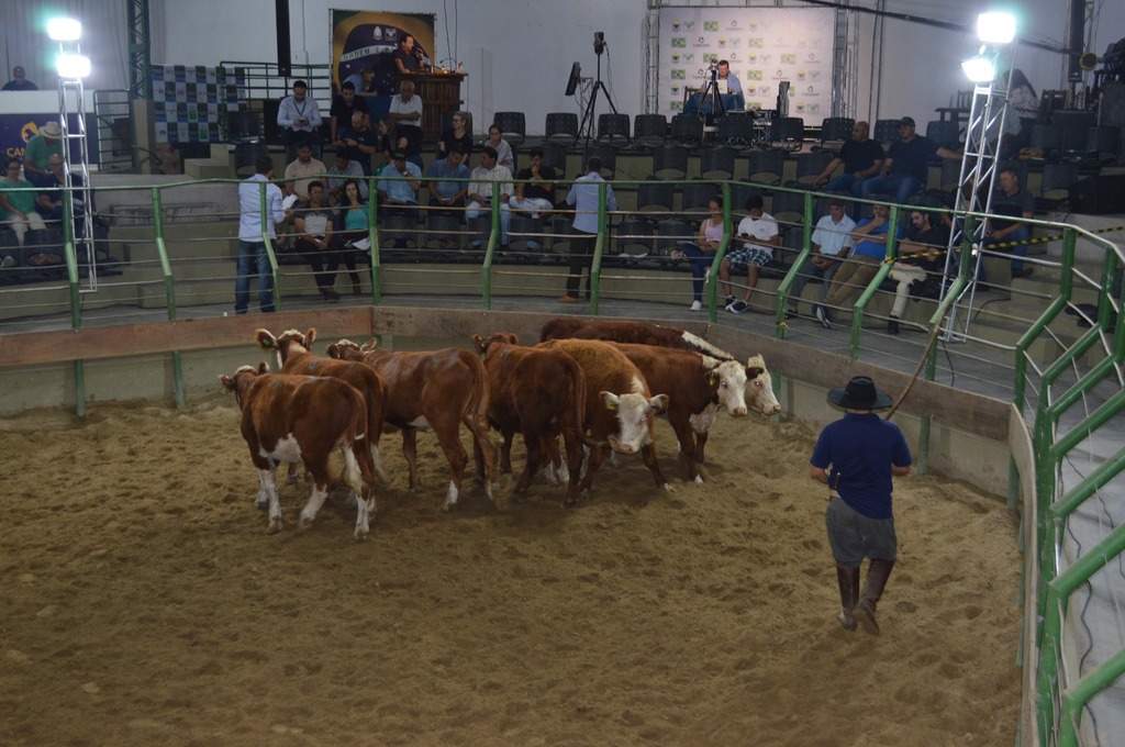 Feira de Gado Geral abre o ano de negócios no Parque Conta Dinheiro