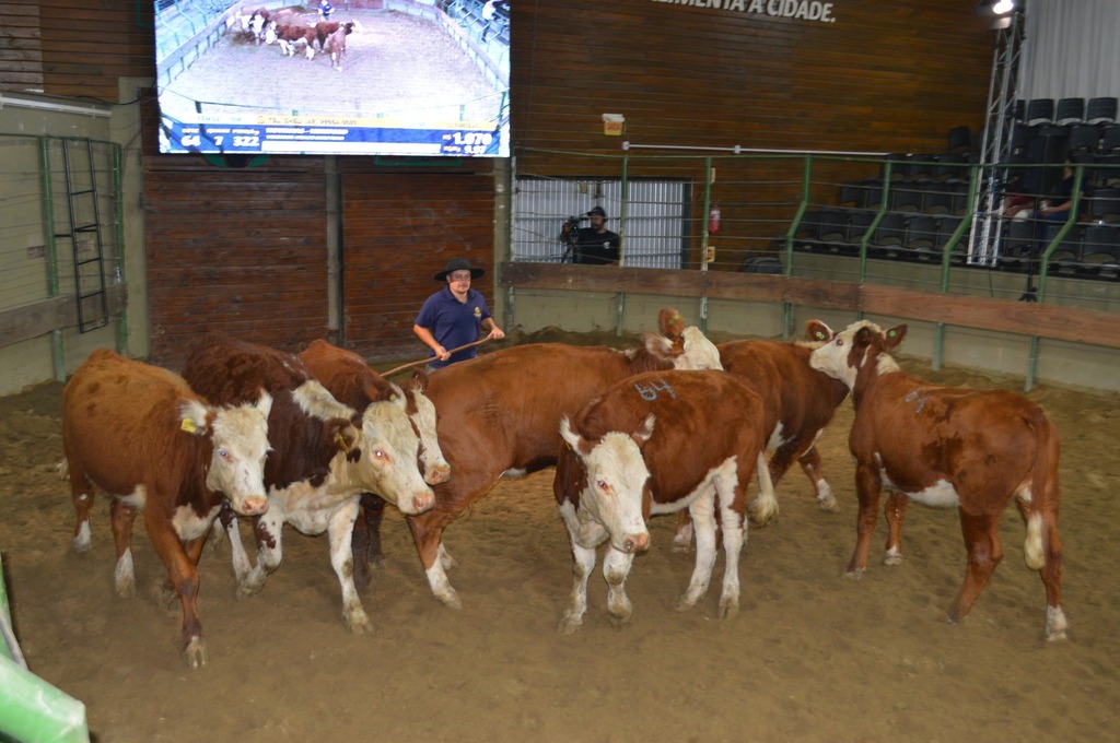 Feira de Gado Geral abre o ano de negócios no Parque Conta Dinheiro