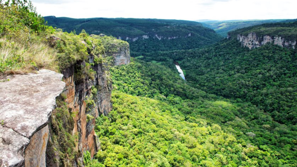 Governo do Estado destina R$ 6 milhões para compensação ambiental