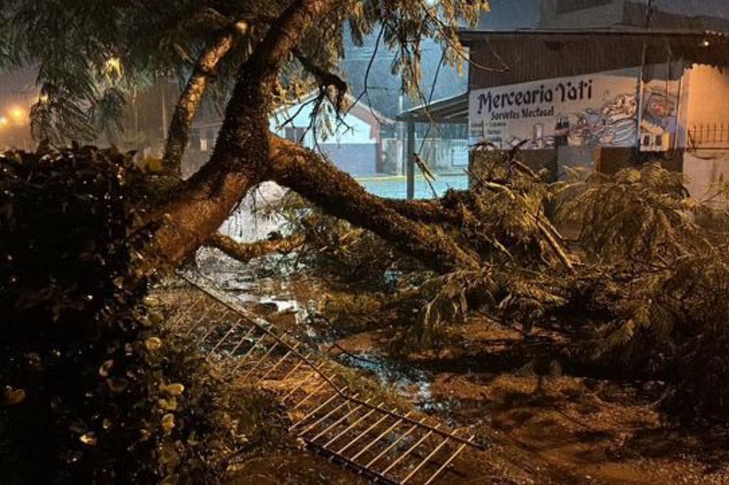 Árvore cai próximo a residência no bairro Divinéia durante forte chuva em Imbituba