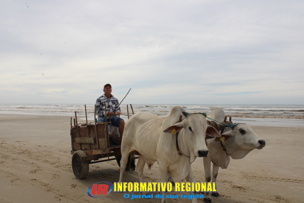 Imagem 5