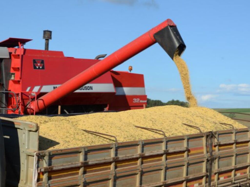 Giro da Safra avalia produtividade da soja no Planalto Norte de Santa Catarina