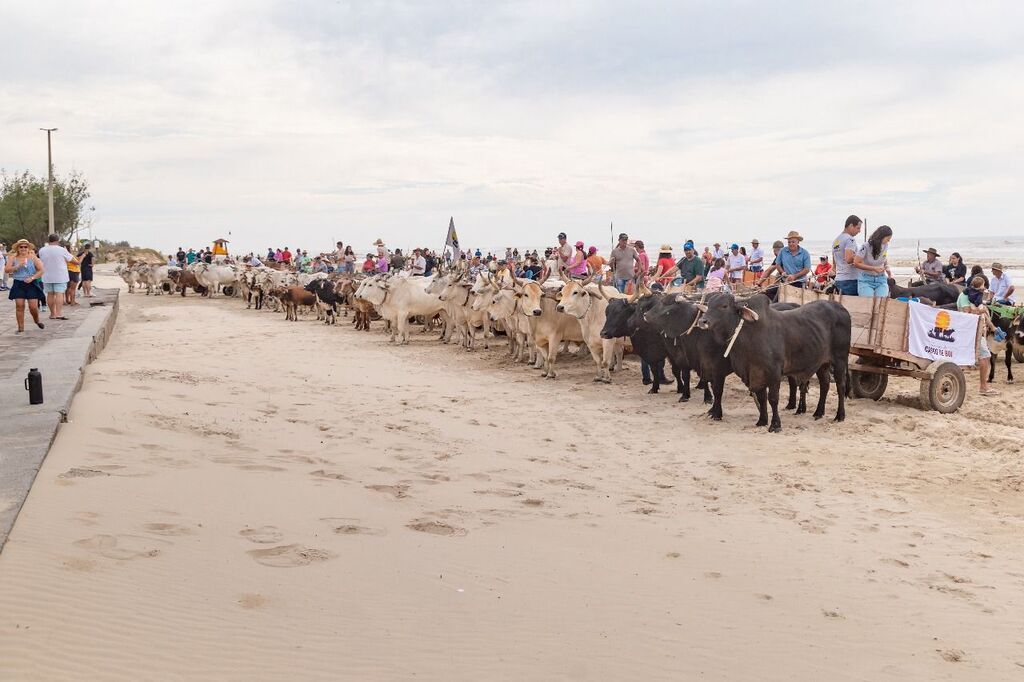 ENCONTRO DE CARROS DE BOI MANTÉM VIVA A TRADIÇÃO EM PASSO DE TORRES