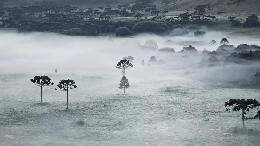 Semana será ensolarada e terá retorno das temperaturas elevadas