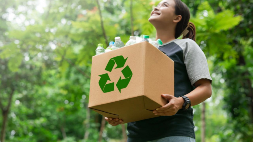 Moeda Ouro Verde destinou corretamente 82 mil quilos de recicláveis em Canoinhas