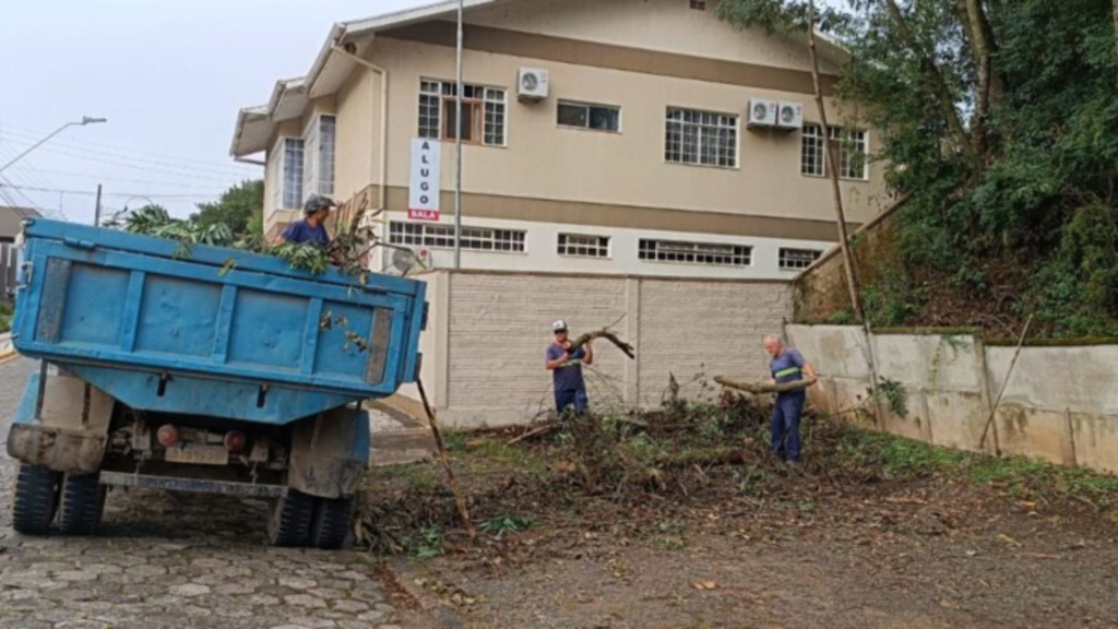 Divulgação - 