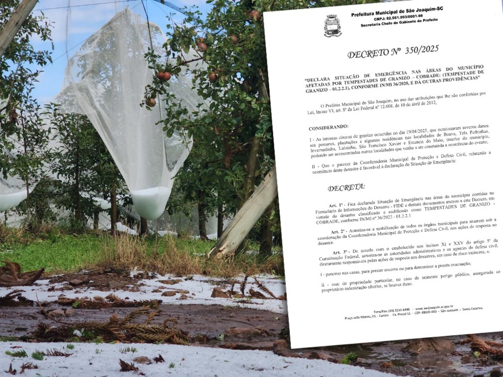 São Joaquim decreta situação de emergência após forte tempestade de granizo atingir áreas rurais