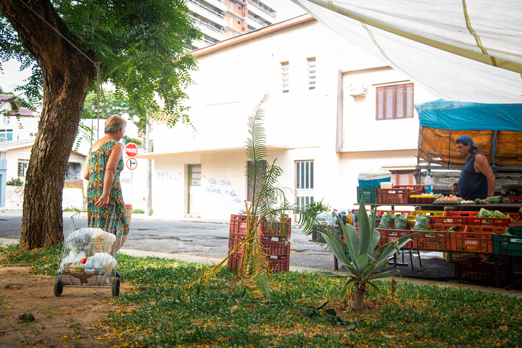 Feiras do produtor ocorrem em diferentes regiões de Santa Maria nesta semana; veja o cronograma