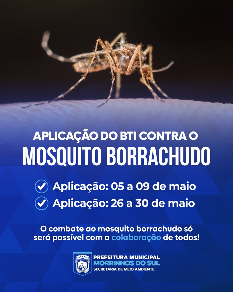 CRONOGRAMA EM MORRINHOS DO SUL DE APLICAÇÃO DO BTI CONTRA O MOSQUITO BORRACHUDO